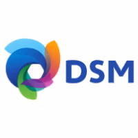 logo-DSM