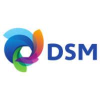 logo-DSM